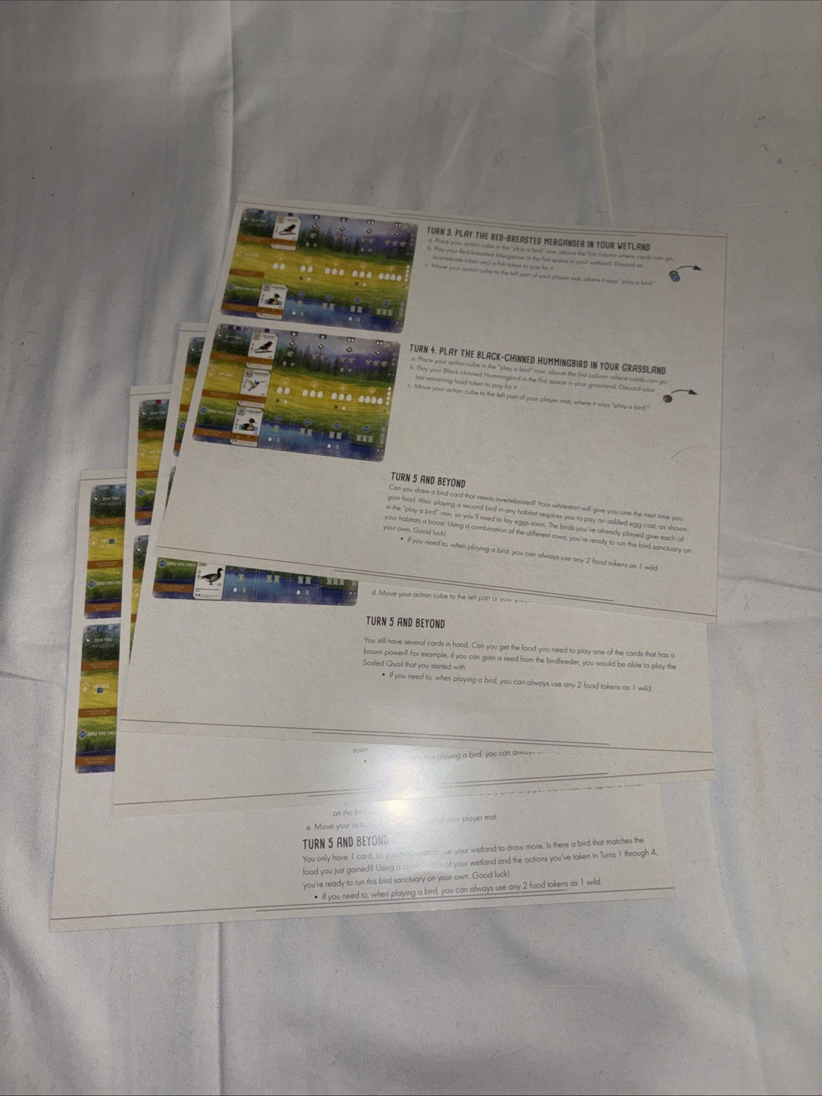 Wingspan Board Game Stonemaier Games Bird Strategy Engine Builder COMPLETE