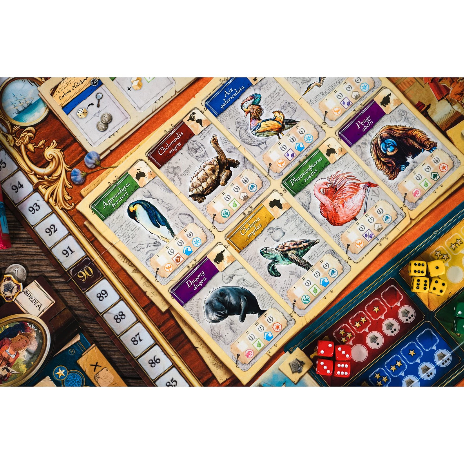| Encyclopedia | Strategy Board Game | Dice and Worker Placement | 1 to 4 Pla…
