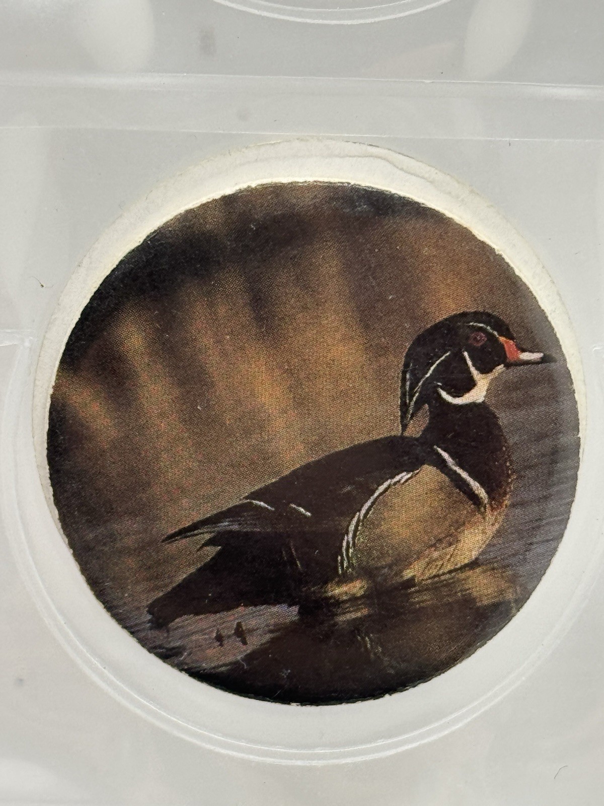 Vintage Rare! 1990’s Male Wood Duck POG Wildlife Milk Cap