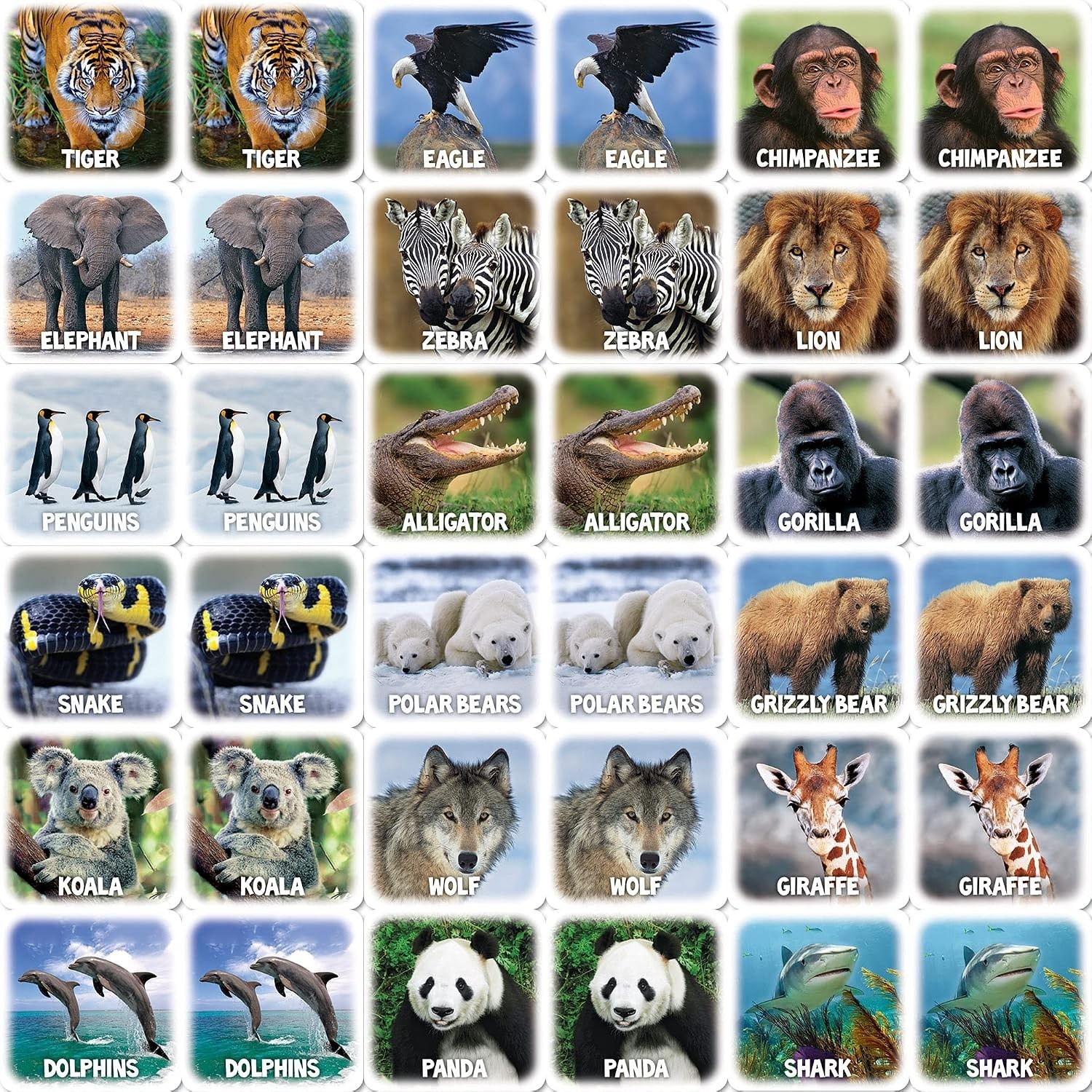 Interactive World of Animals Matching Game – Enhance Memory Skills for Kids 3 Up