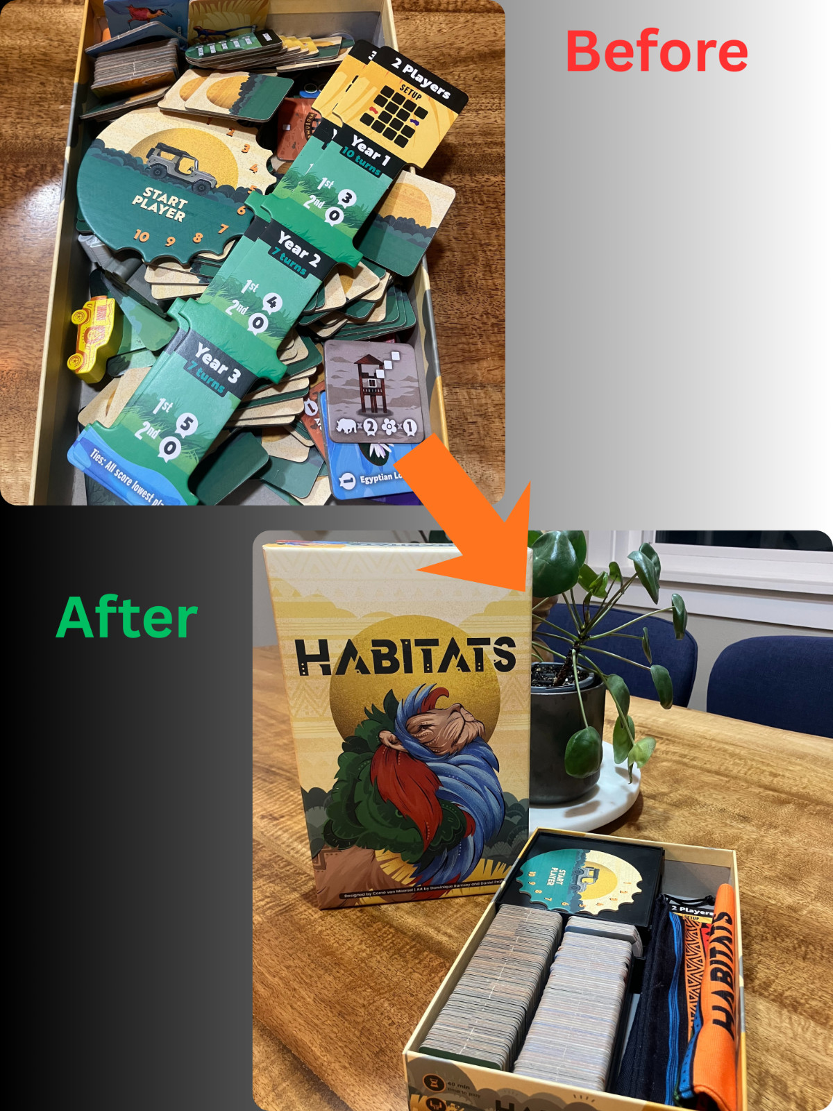 Habitats Board Game Insert with Removable Trays