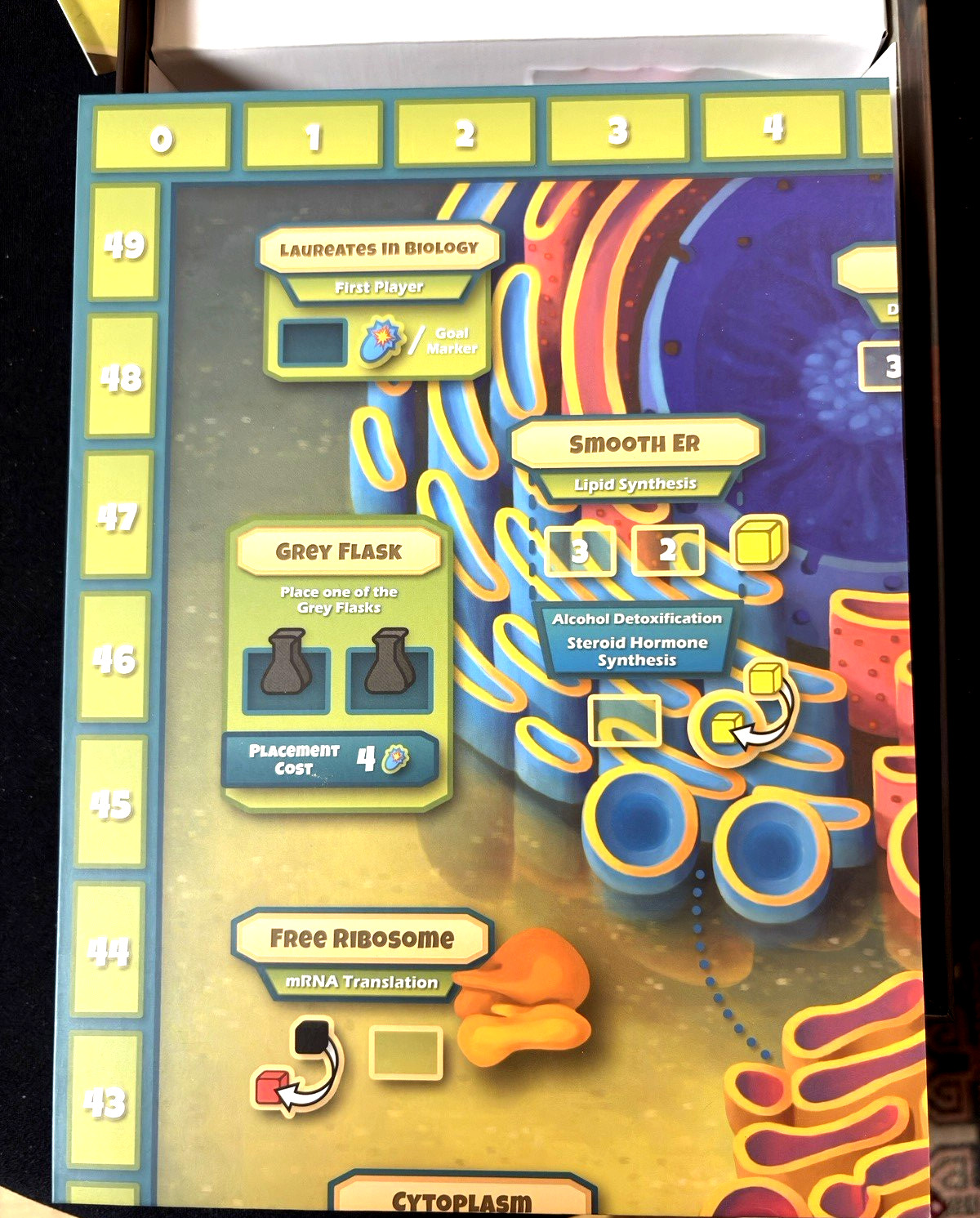 Genius Games Cytosis 2nd Edition Board Game Cell Biology Science Family