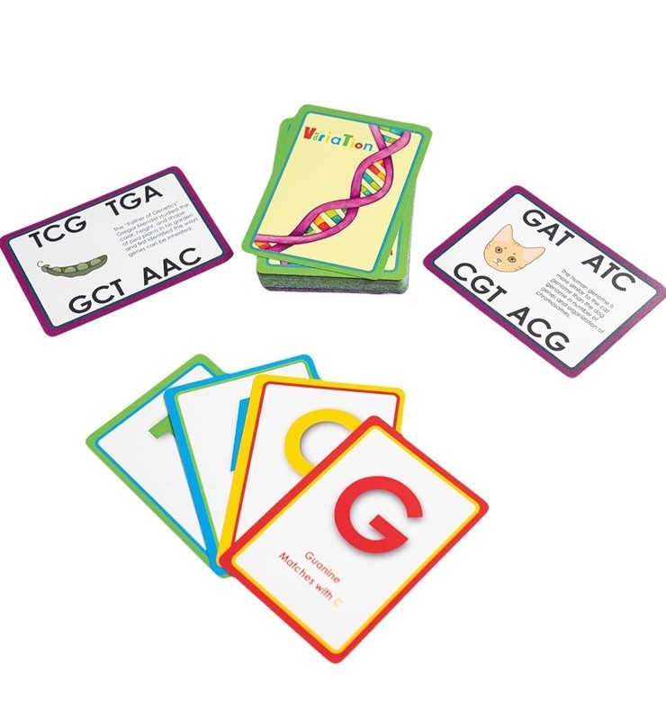 Variation A DNA Matching Card Game Genetic Lang. Of Living Things Using Alphabet