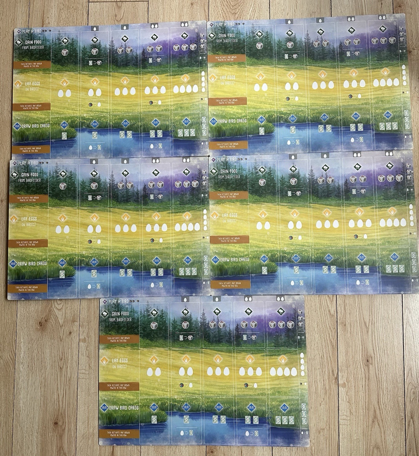 Wingspan Replacement Player Boards (total Of 5) Board game Pieces