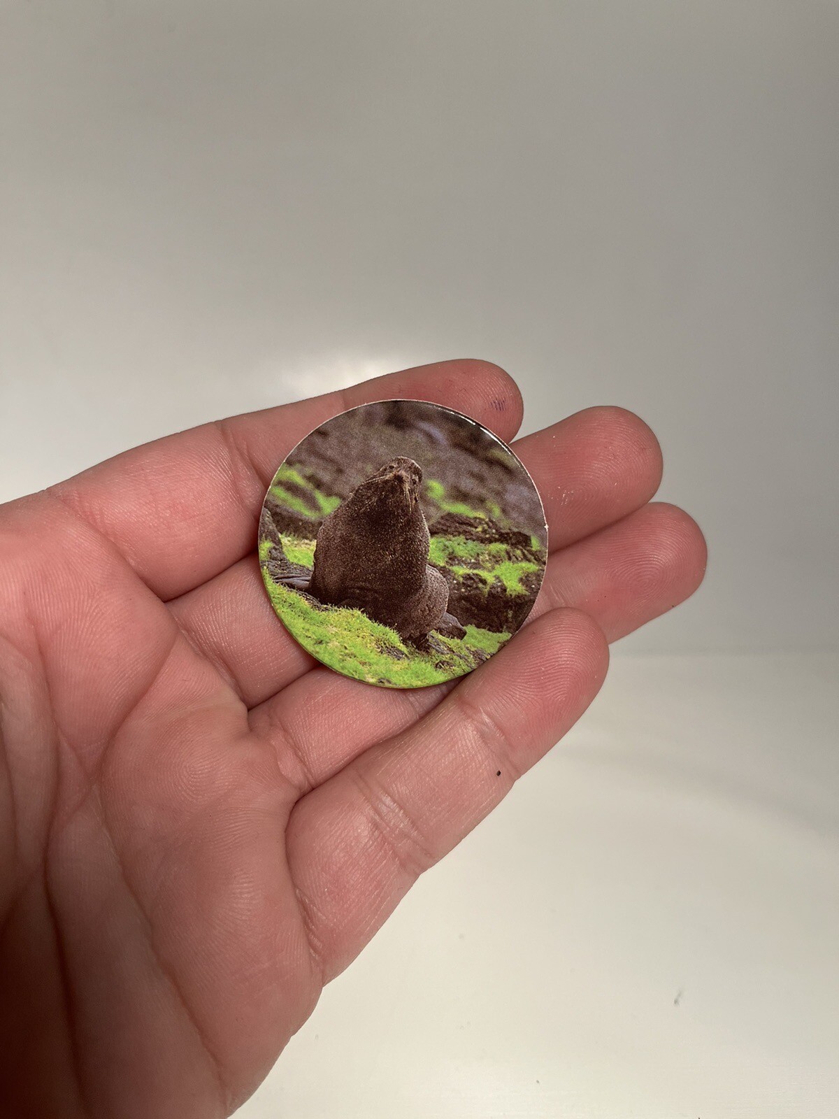 Vntg POG 1990s Sea Lion Ocean Animal Nature Cap Milk Bottle Top Game HTF RARE