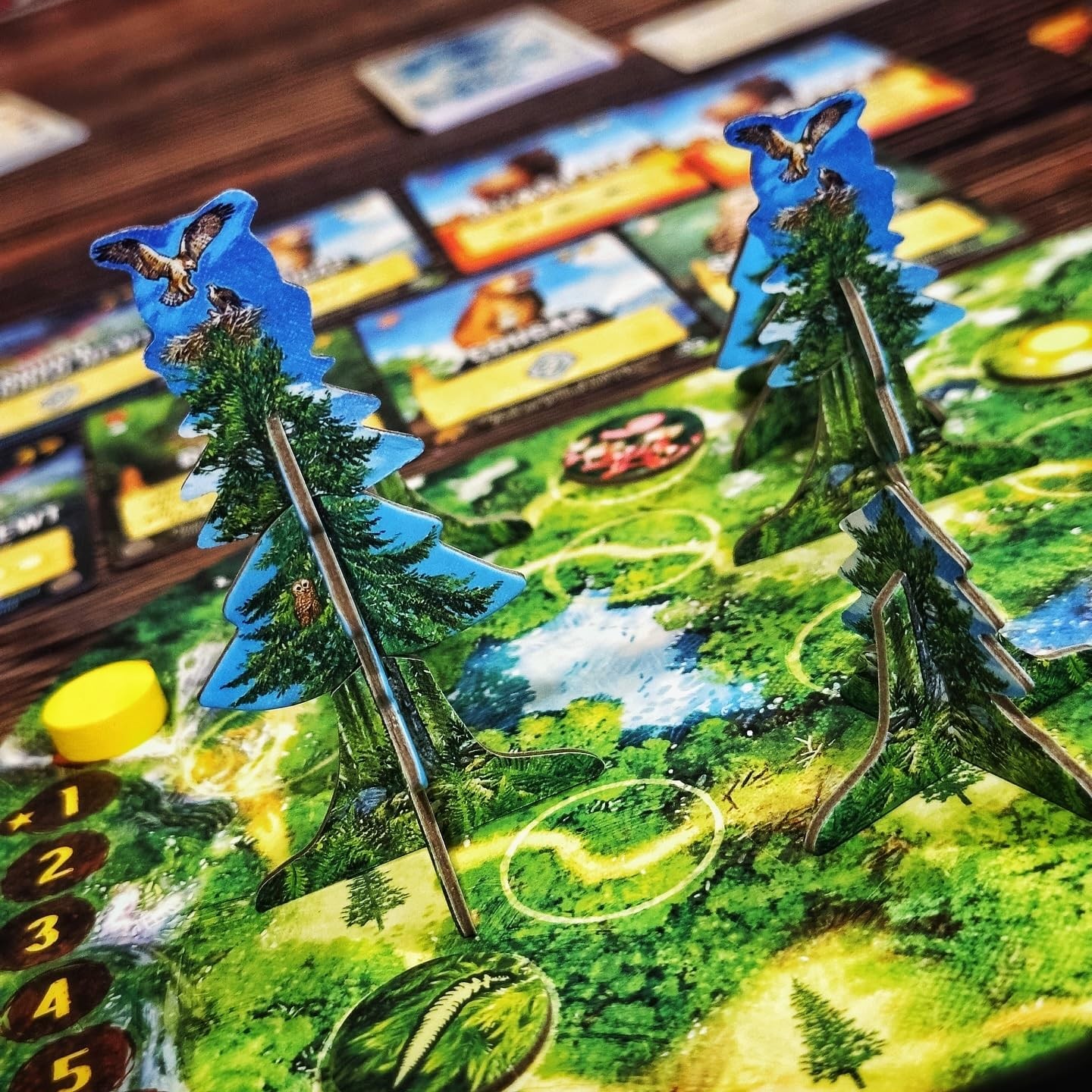Canopy Evergreen – Strategy Board Game – for 1 to 4 Players and Ages 10+