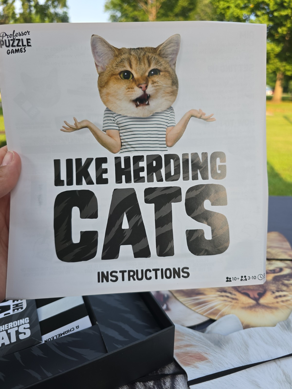 Like Herding Cats Acting Board Game 3-10 Players Masks Charades COMPLETE