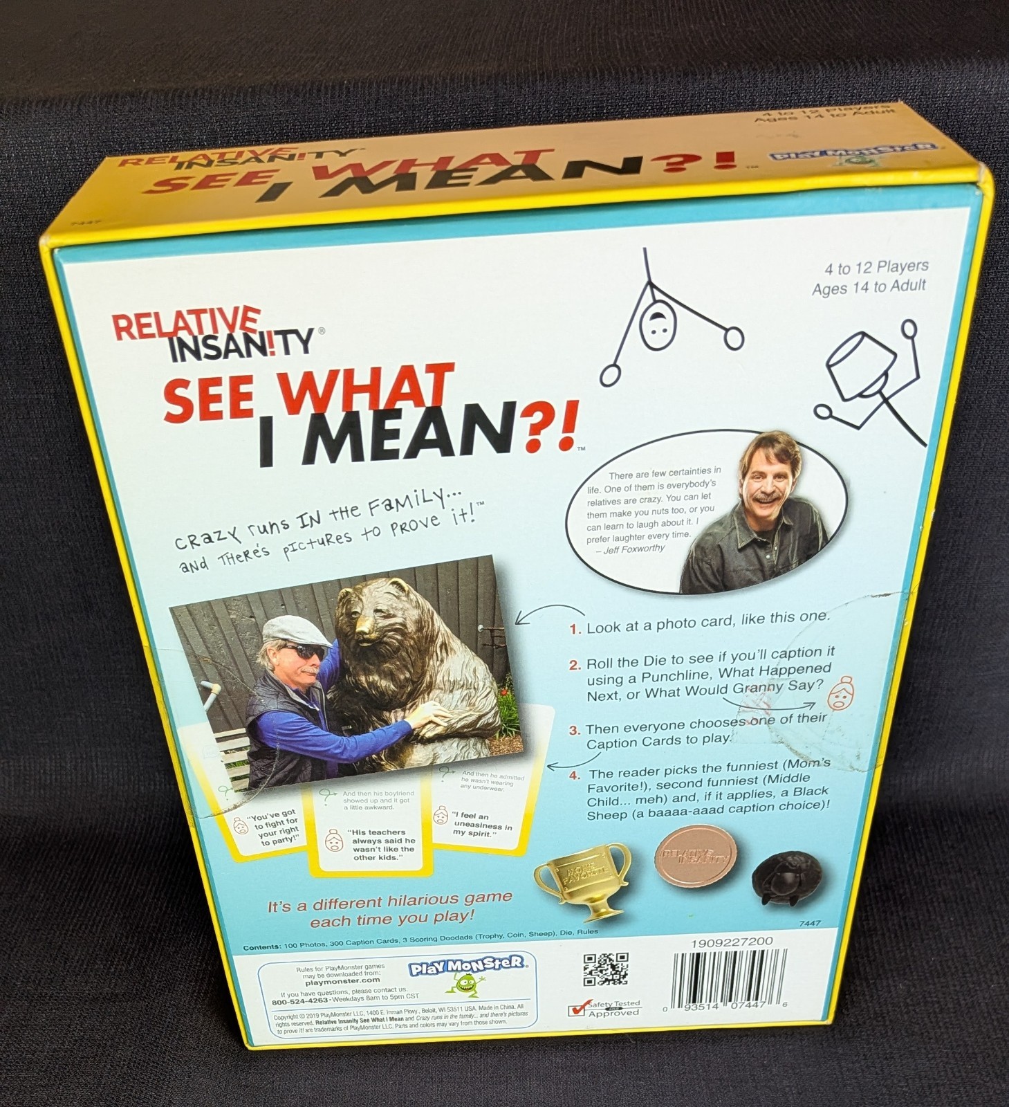 Relative Insanity: See What I Mean?! GAME