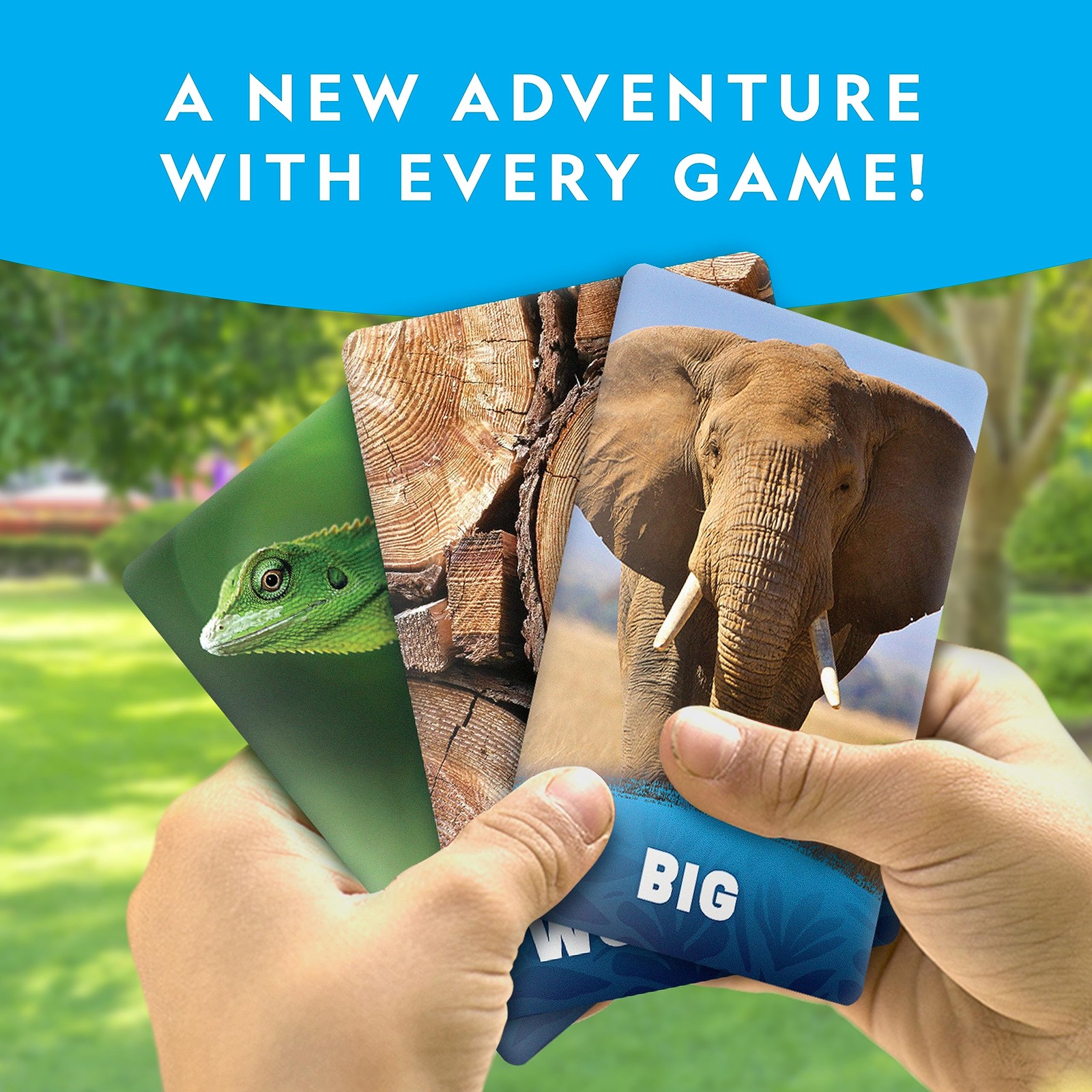 National Geographic Scavenger Hunt Cards 40 Jumbo Kid indoor Outdoor Travel Game