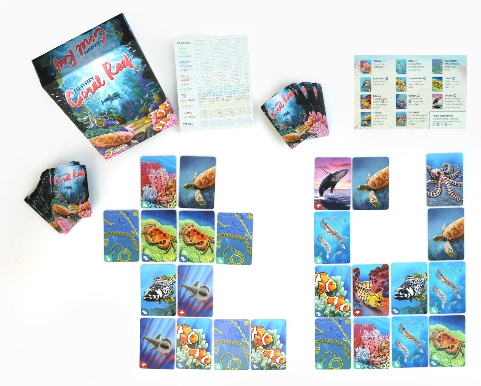 Ecosystem Coral Reef An Ecology Card Drafting Game of Marine Animal Competition
