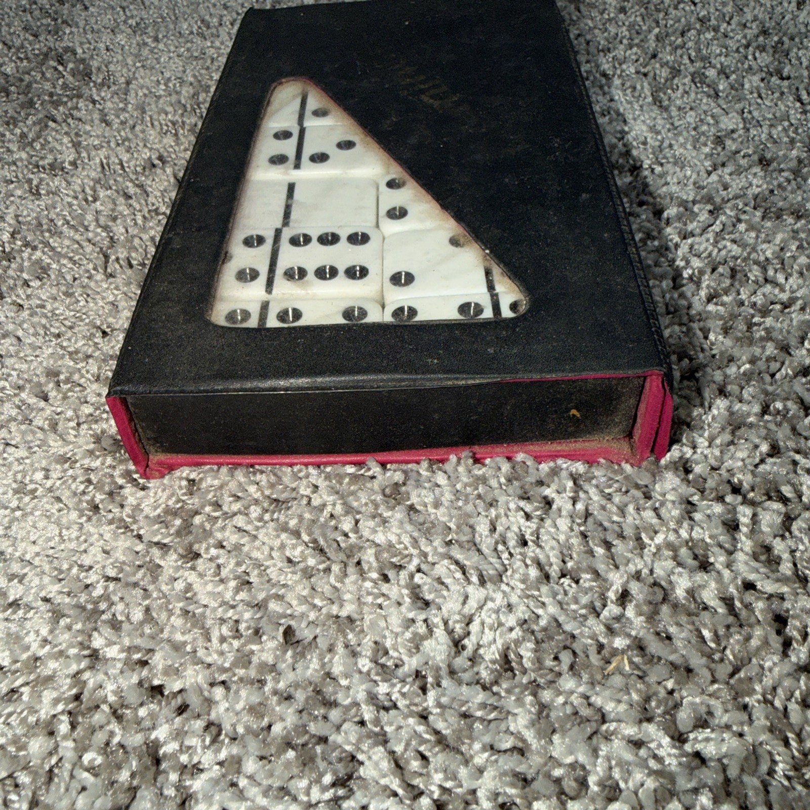 Domino Set, Double Six Dominos In Case