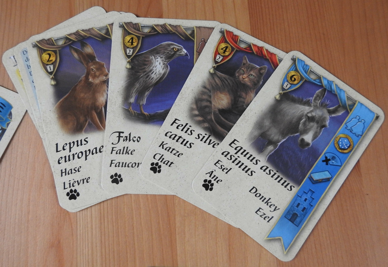 Bruges – Pets | Brügge – Die Haustiere | Mini Expansion | New | English Rules