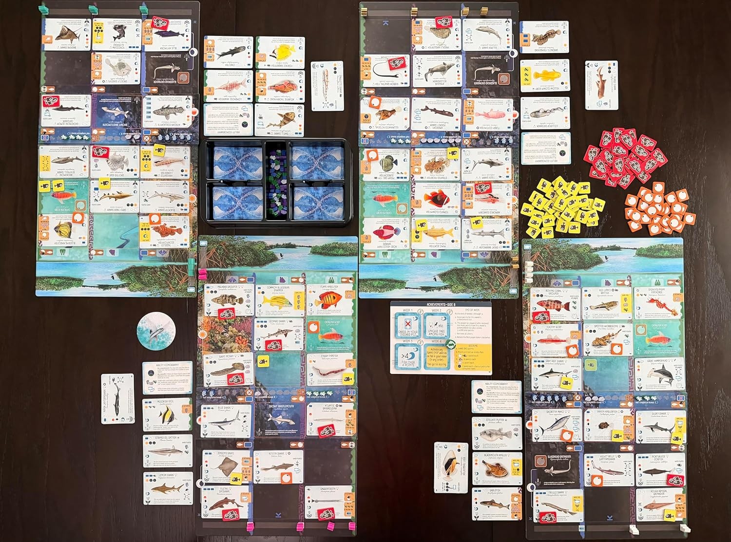 Stonemaier Games: Finspan Sharks & Reefs Expansion