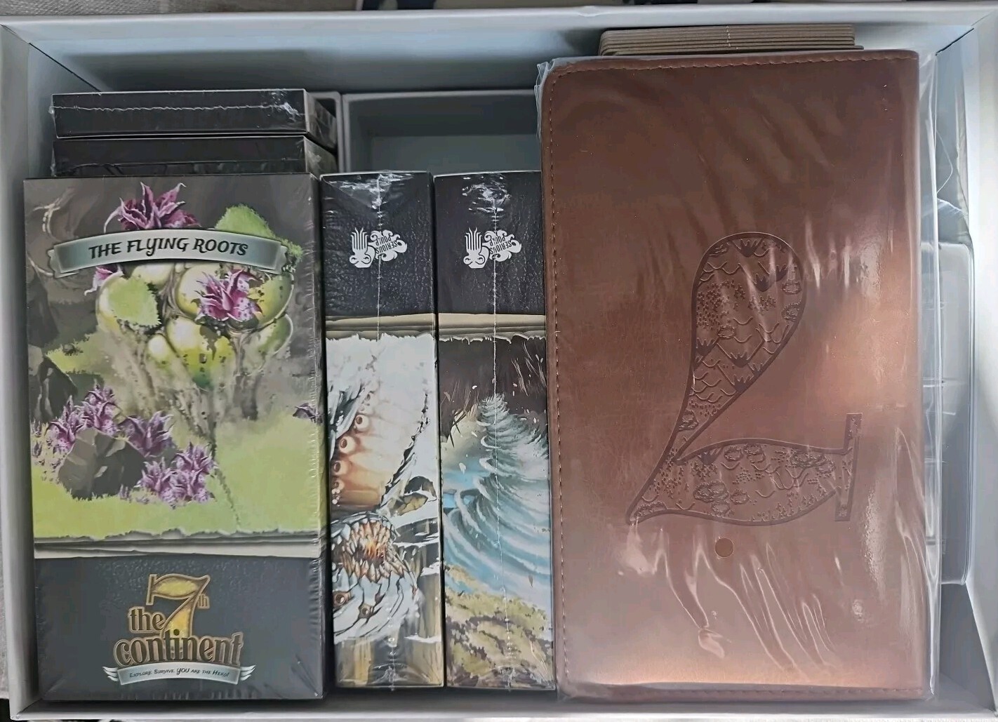 7th Continent Kickstarter + 8 Expansions + What Goes Up Must Come Down + Core