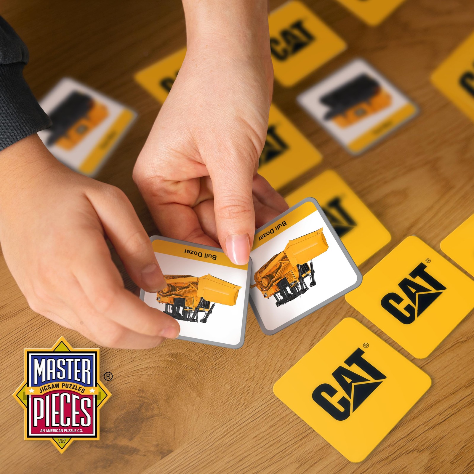 Officially Licensed CAT Picture Matching Card Game for Kids and Families