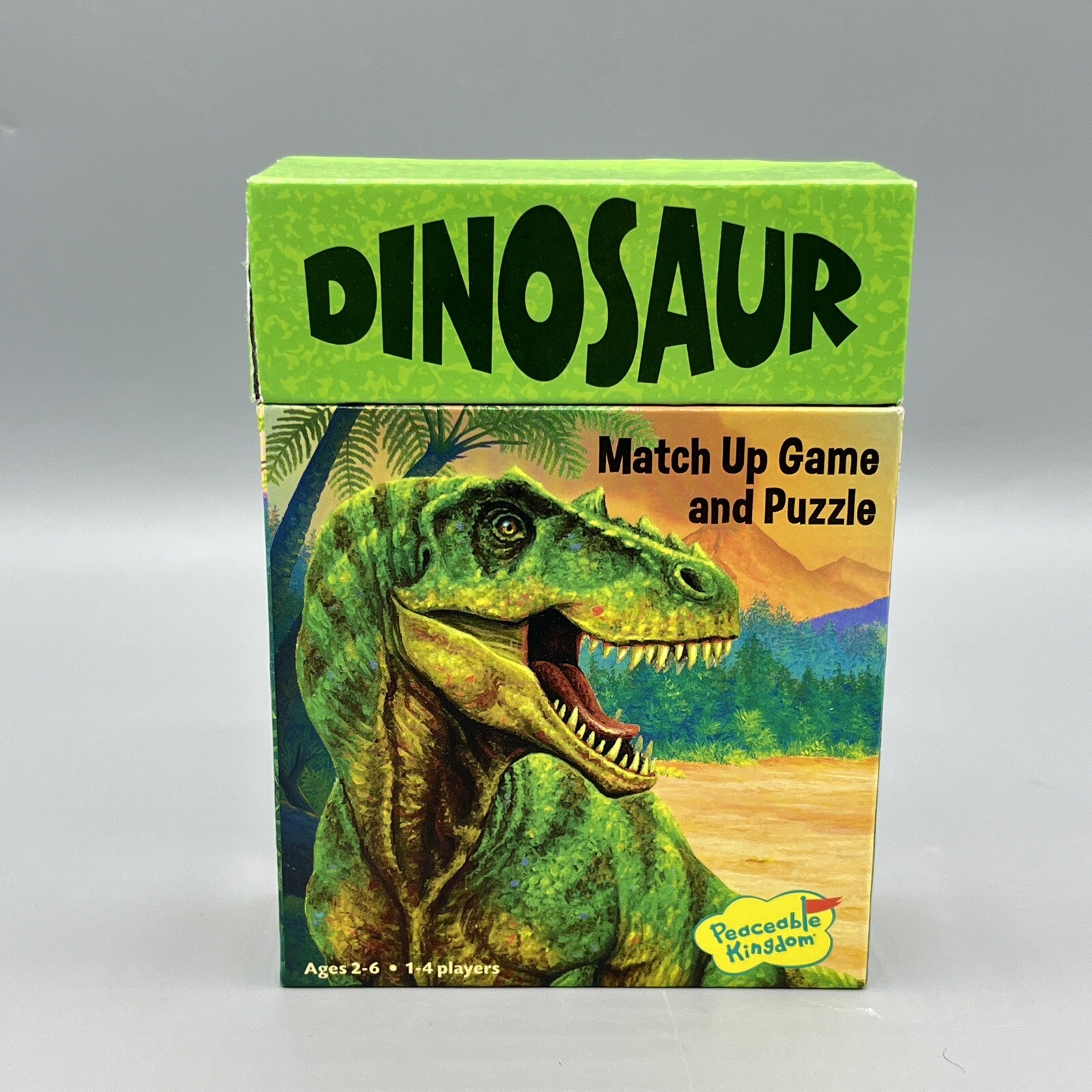 Dinosaur Match Up Memory Game & Floor Puzzle Peaceable Kingdom 24 Cards