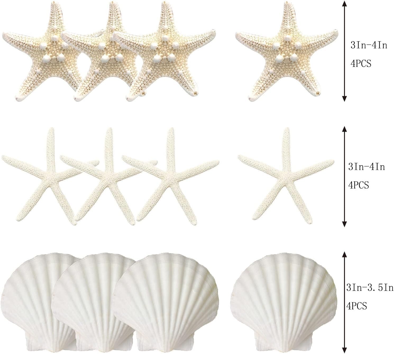 JQAQJU 3-4 Inches Large Starfish and Scallop Shells for Crafts 12PCS,…