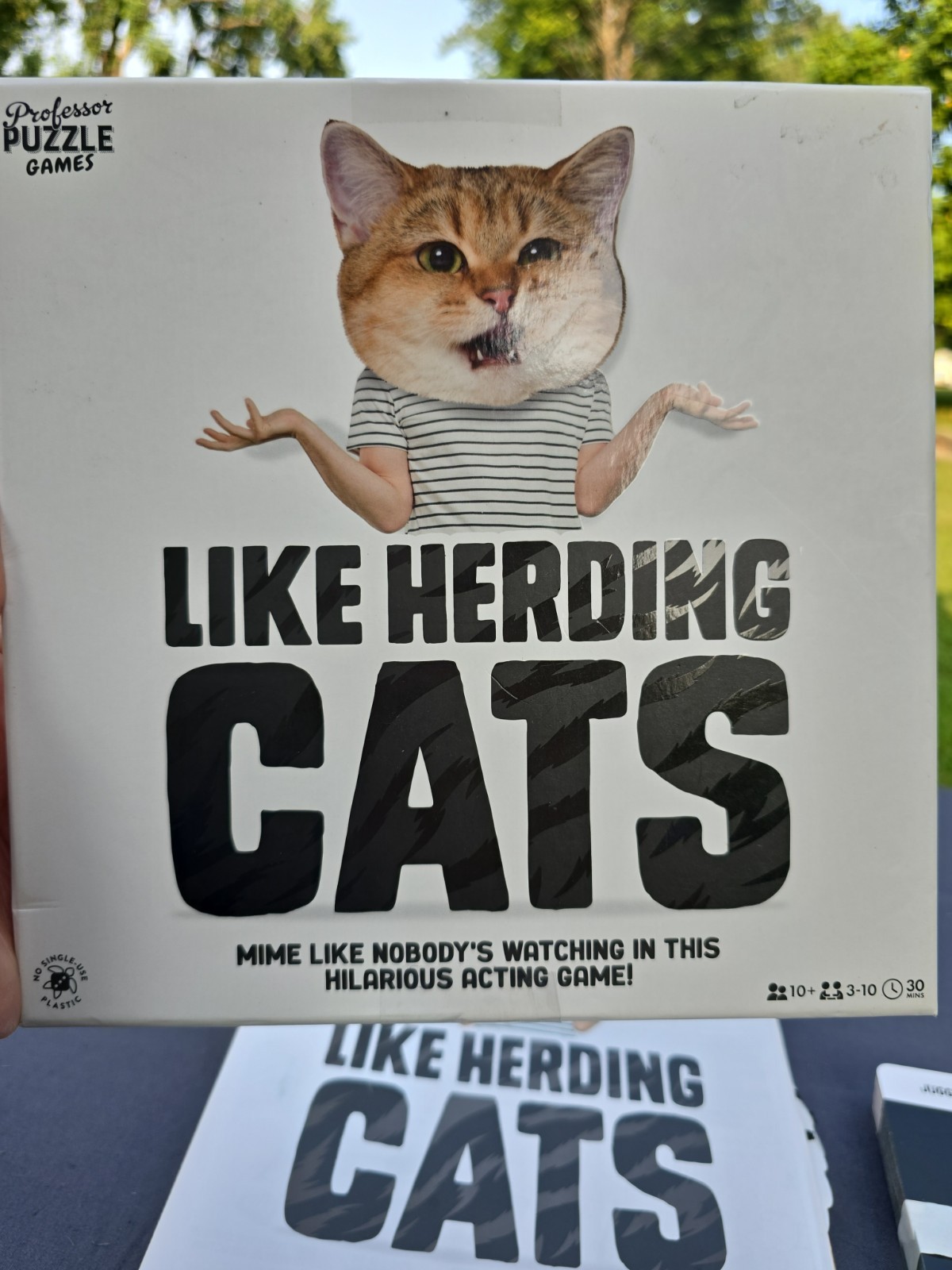 Like Herding Cats Acting Board Game 3-10 Players Masks Charades COMPLETE
