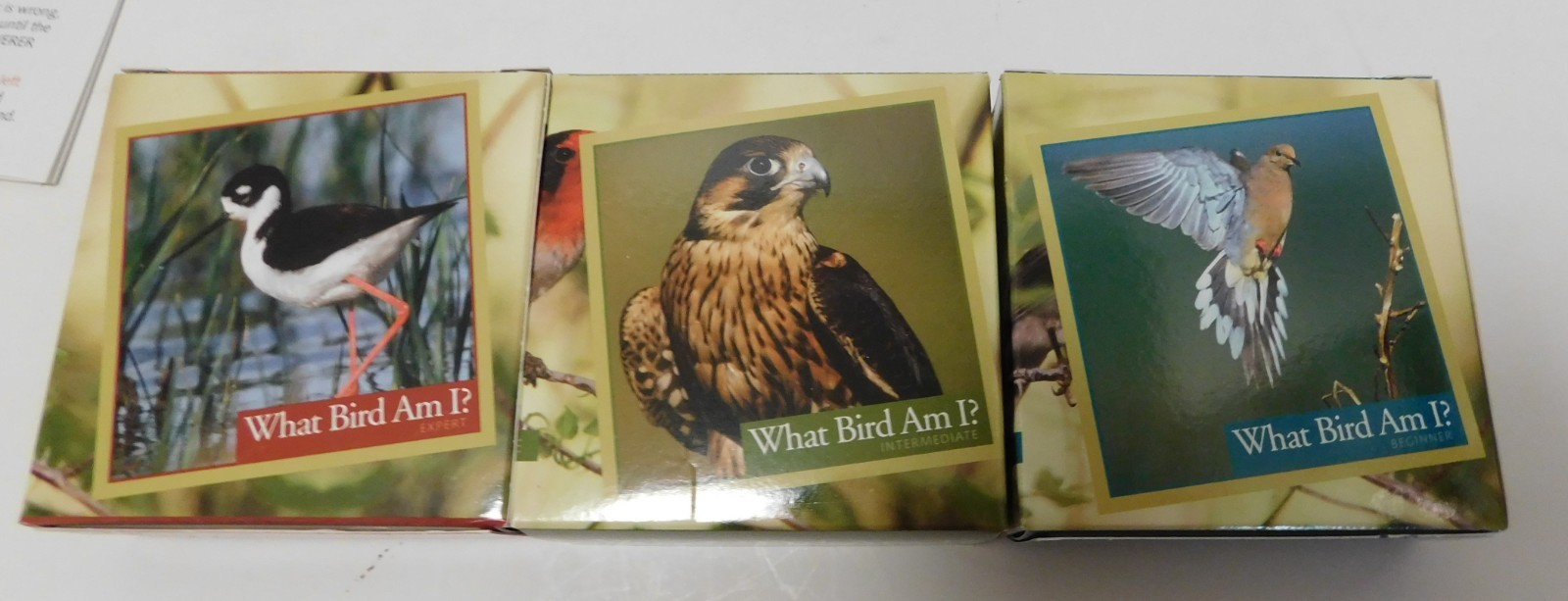 OUTSET What Bird Am I? – The Bird Identification Game – Adult – Ages 14 And Up