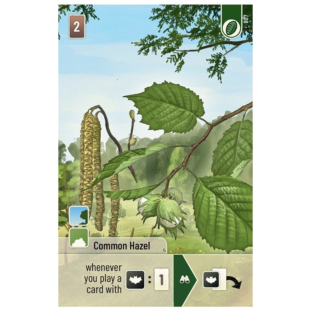 Woodland Edge Expansion Forest Shuffle Card Game Family Lookout LK0185 Board