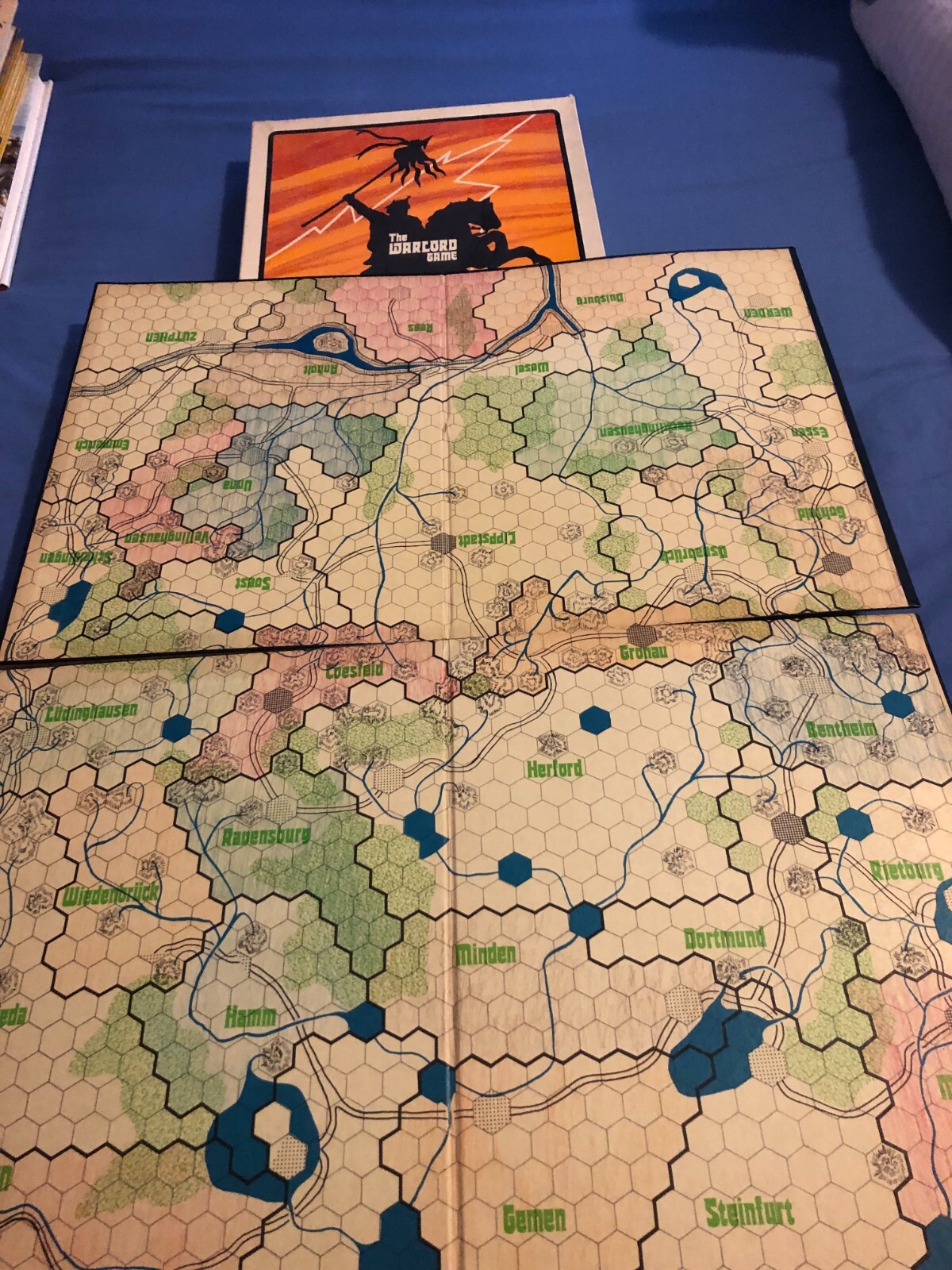 The Warlord Game (combined with a D&D campaign for more fun)
