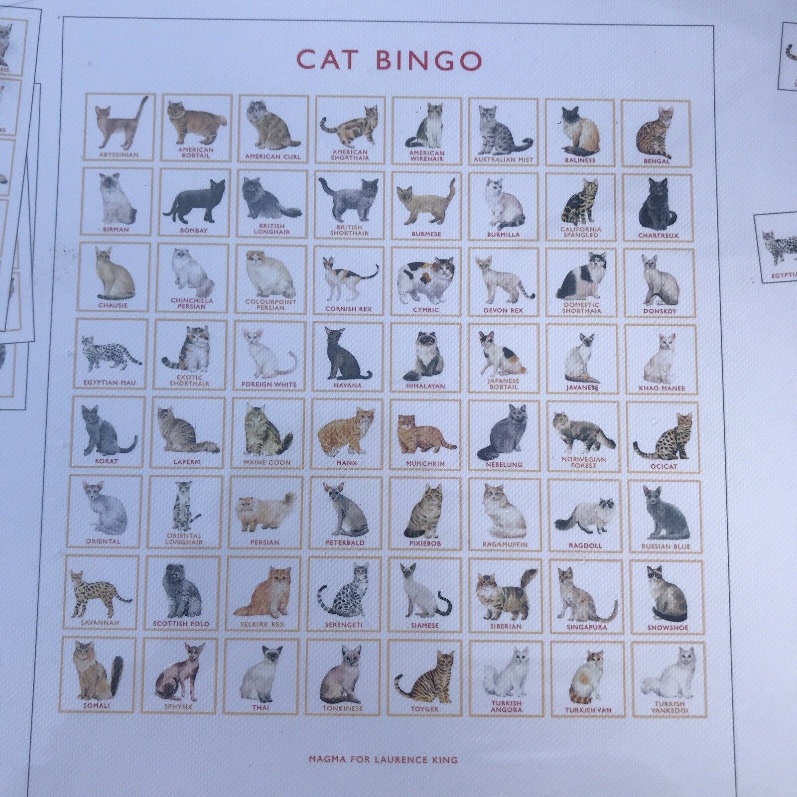 Cat Bingo by Marcel George Cat 64 Breeds Board Game Tonkinese Siamese Bengal