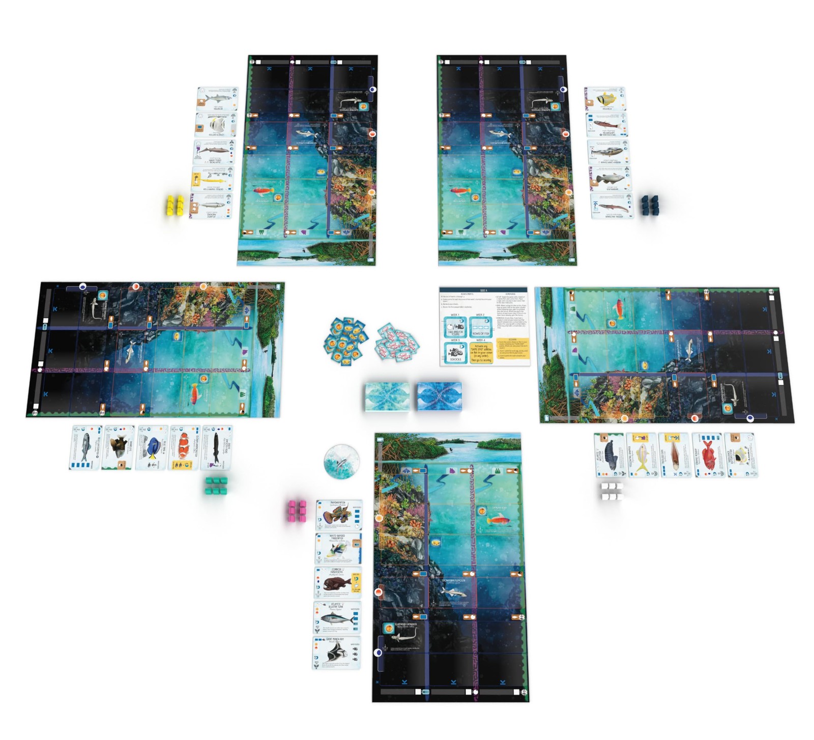 Stonemaier Games Finspan – A Wingspan Game by David Gordon Michael O’Connell…