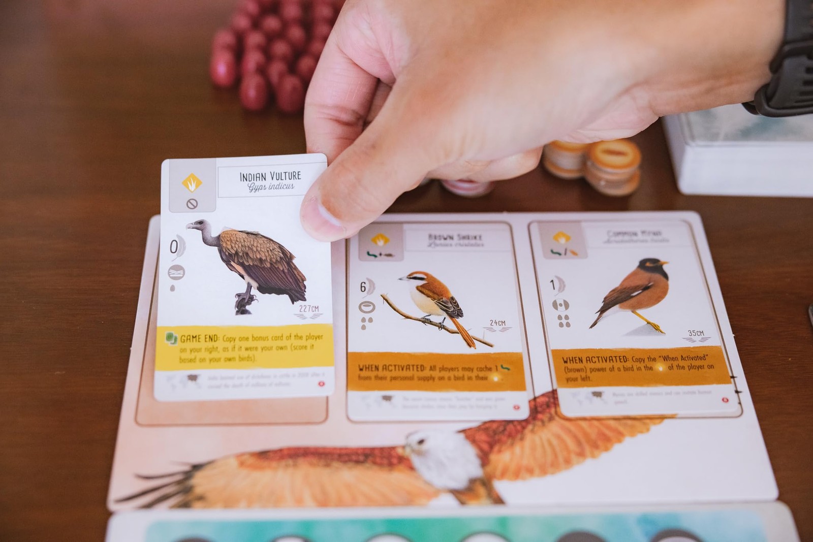 Wingspan Asia Board Game Bird Collecting Solo and Duet Mode Expansion 80 Char…