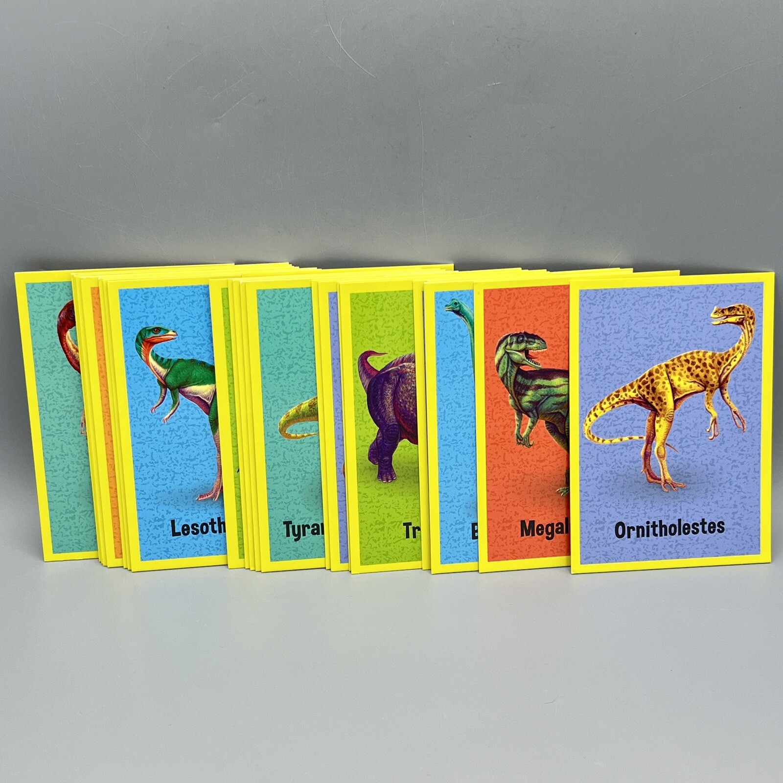 Dinosaur Match Up Memory Game & Floor Puzzle Peaceable Kingdom 24 Cards