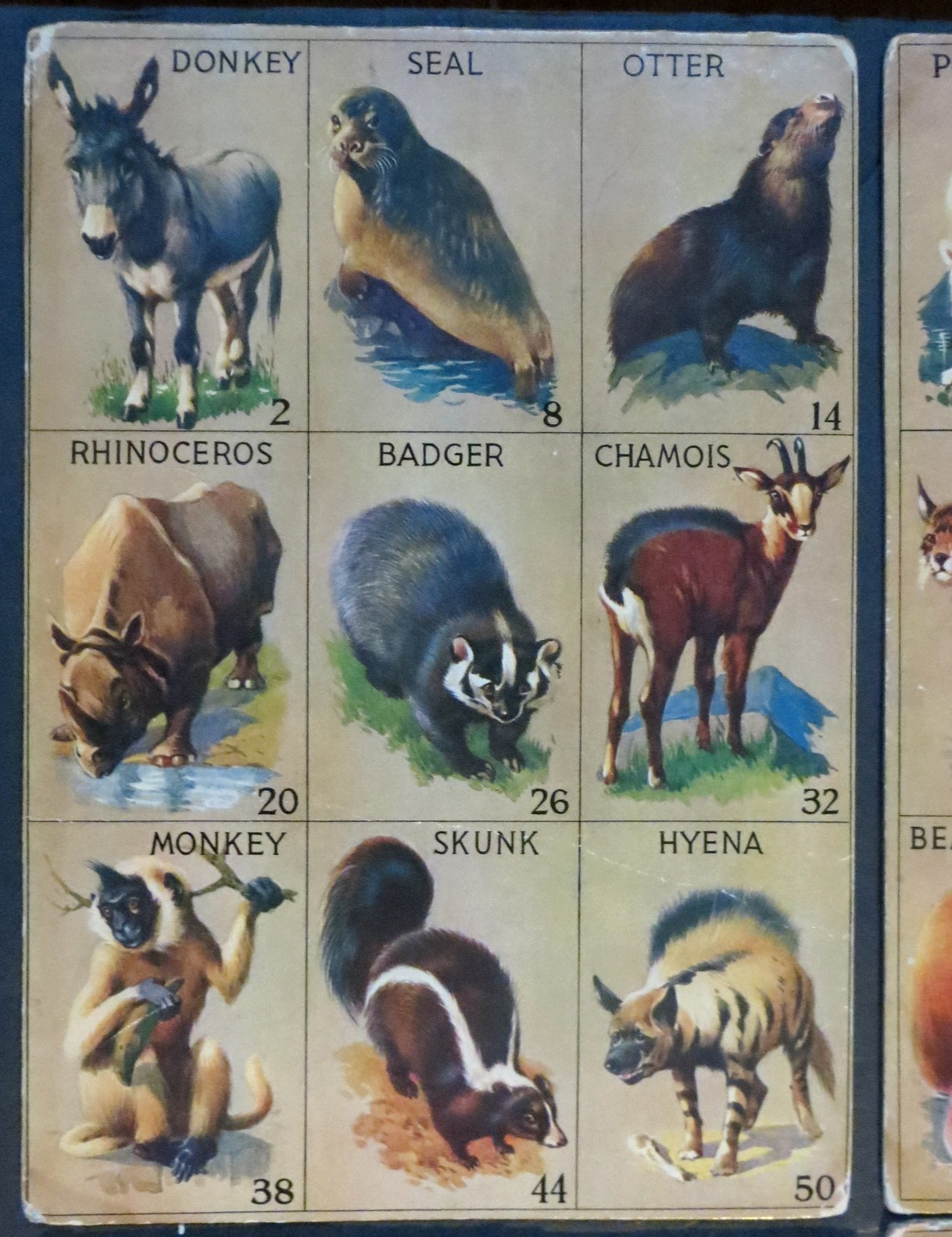 1932 Vintage Animal Lotto Samuel Gabriel & Sons , NY 6 Boards Only