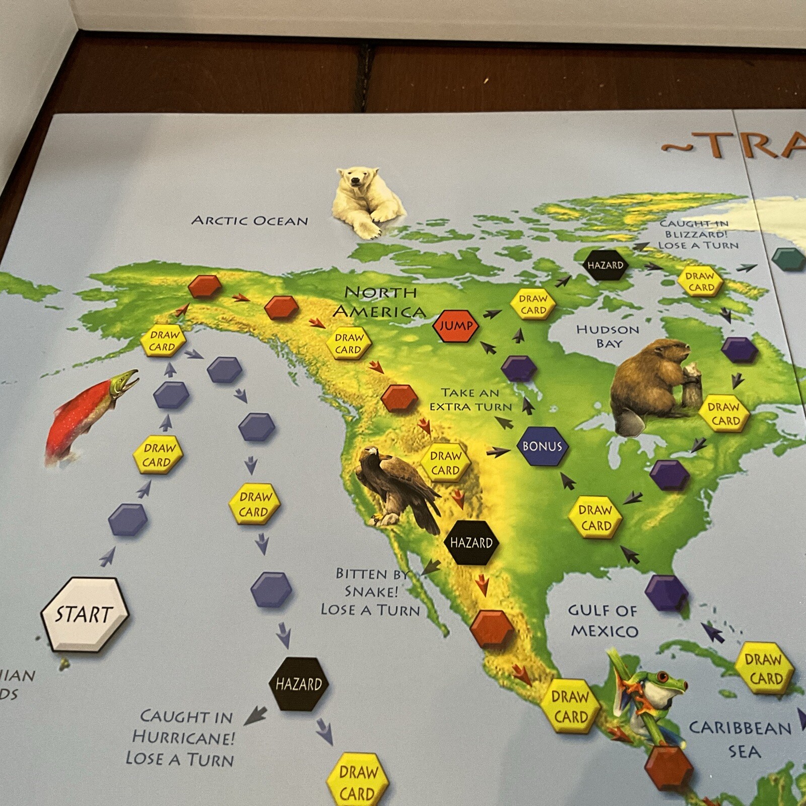 Traveling Animals Race To Save The Animals Board Game