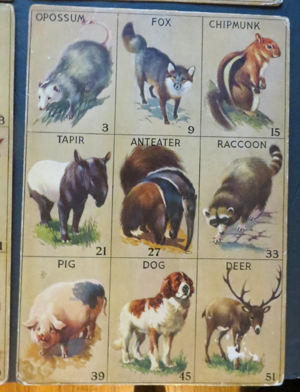 1932 Vintage Animal Lotto Samuel Gabriel & Sons , NY 6 Boards Only