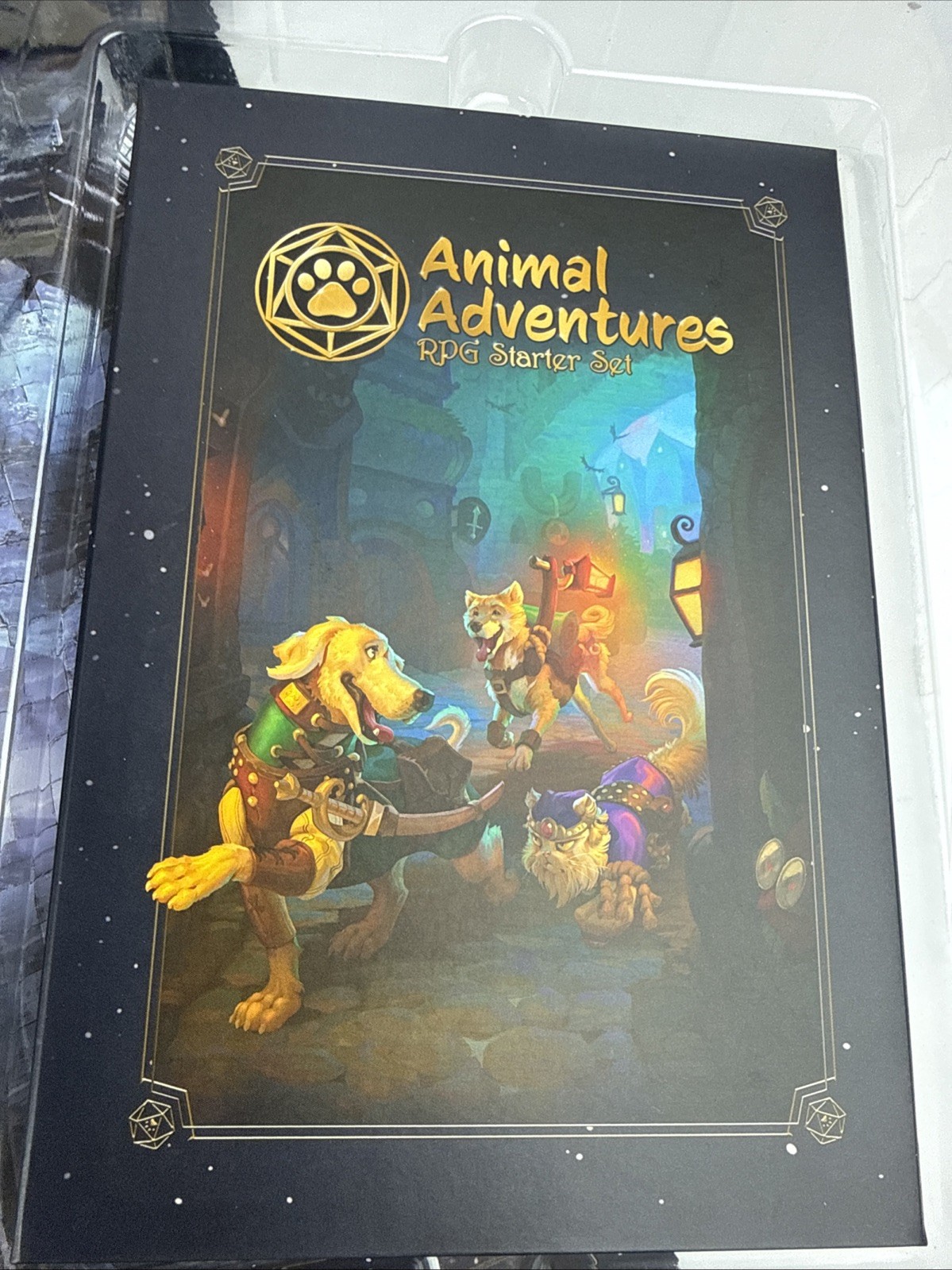 Animal Adventures Starter Set Dungeons Dragons Style Board Game Open Box