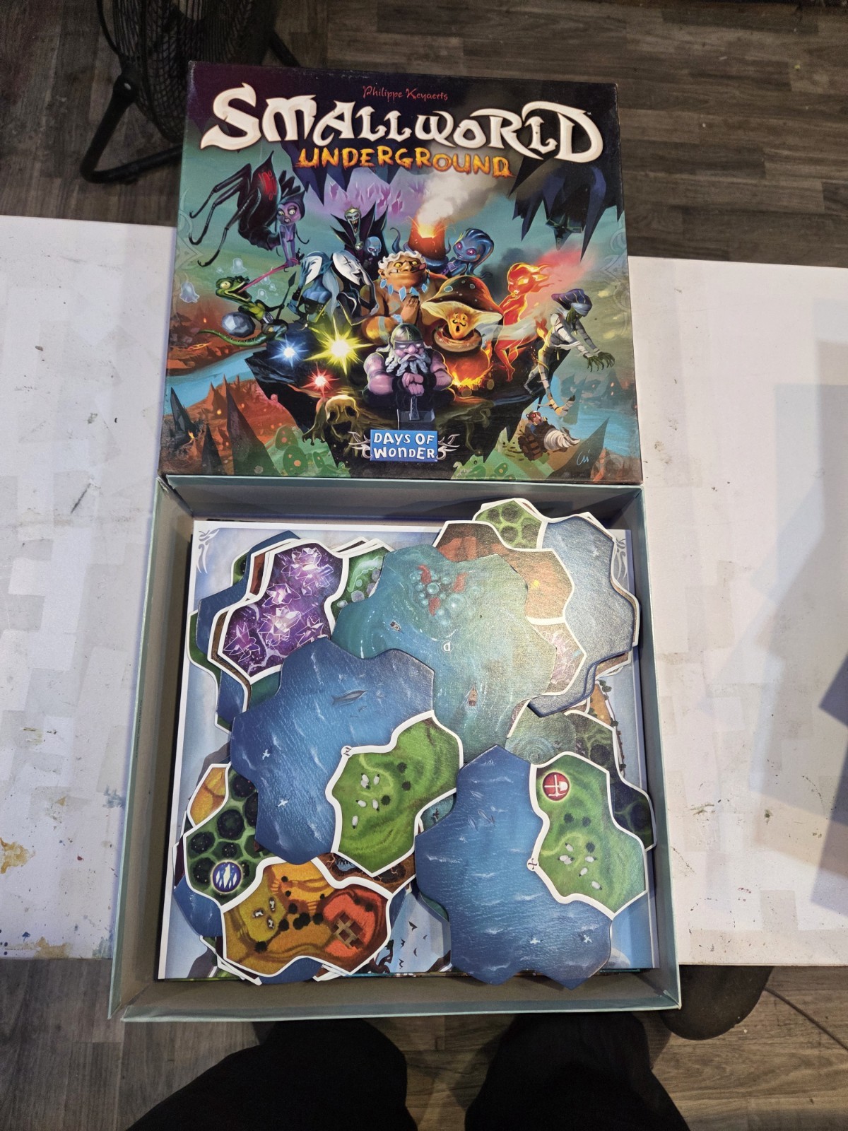 Days of Wonder Small World Board Game