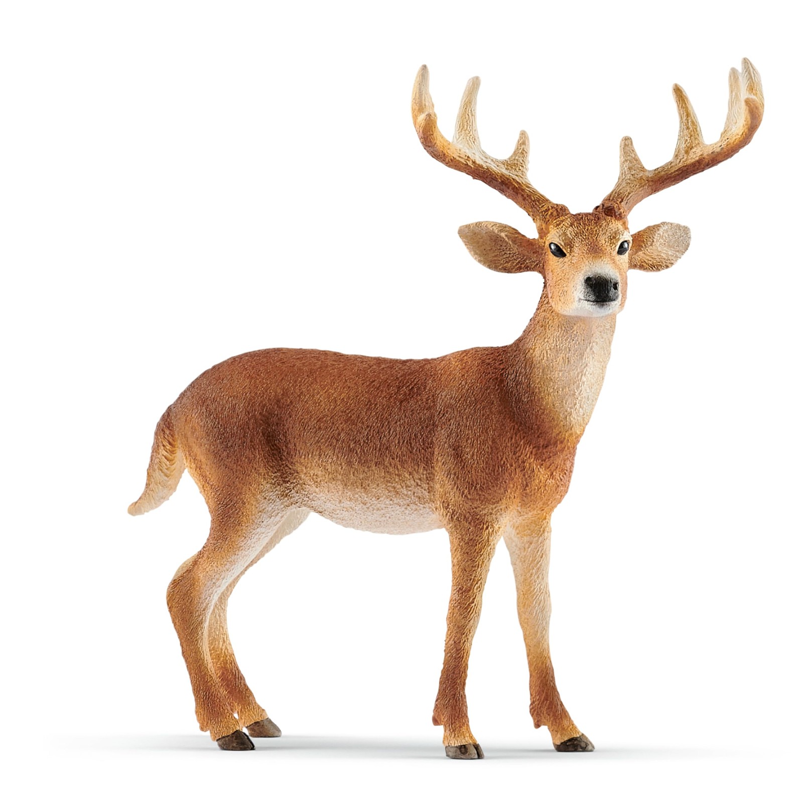 Schleich Wild Life White Tail Buck Deer Figurine Model 14818 Realistsic Animal