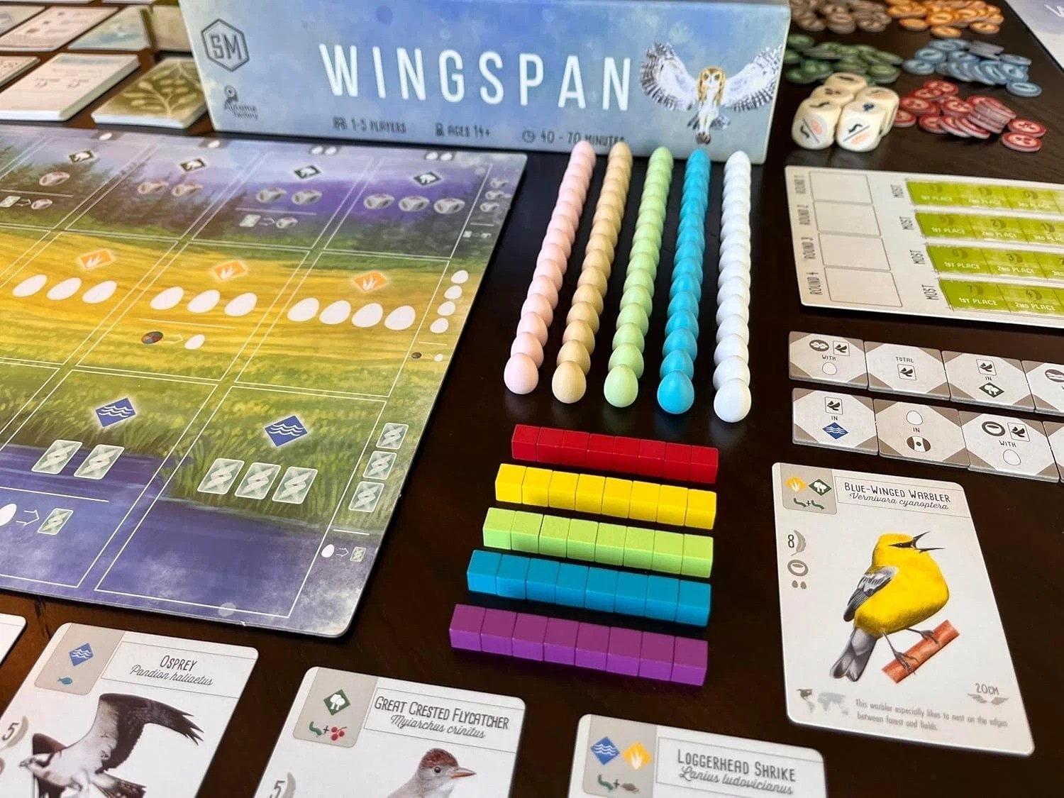 Wingspan Base Game by Elizabeth Hargrave | A Relaxing, Strategy Board Game A…