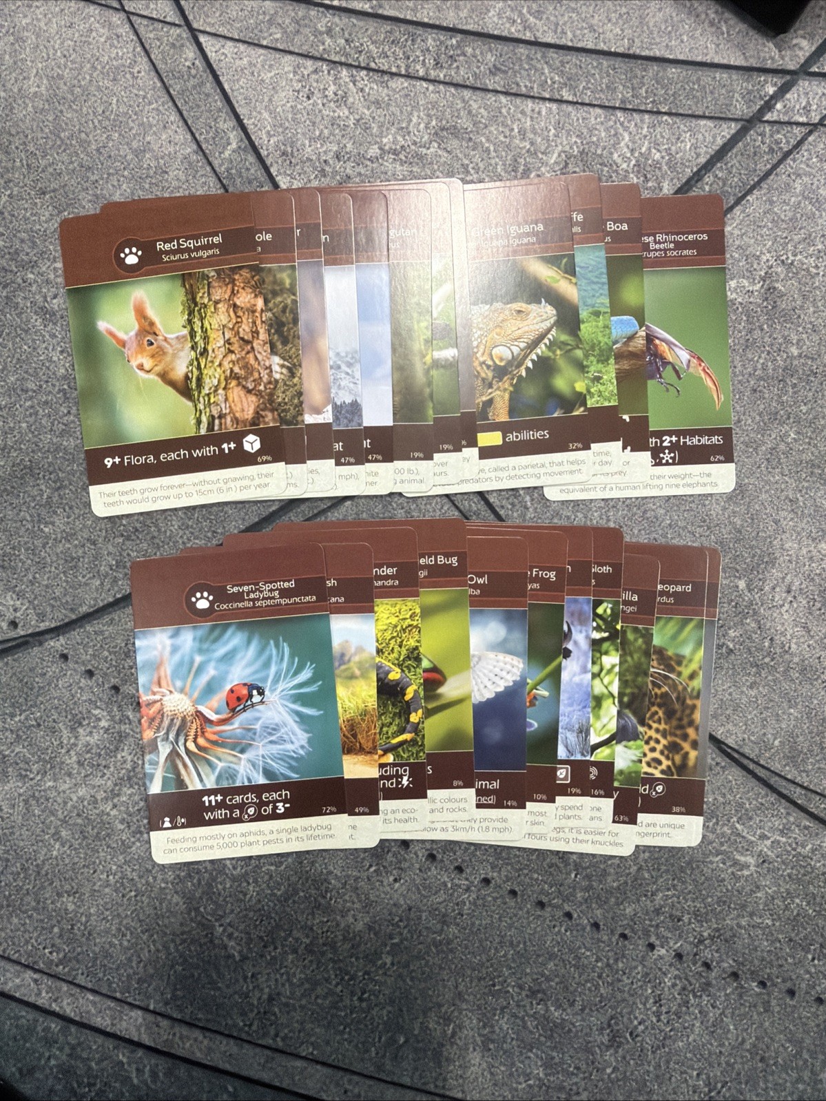 Fauna Cards Earth Board Game Replacement Parts Inside Up Games