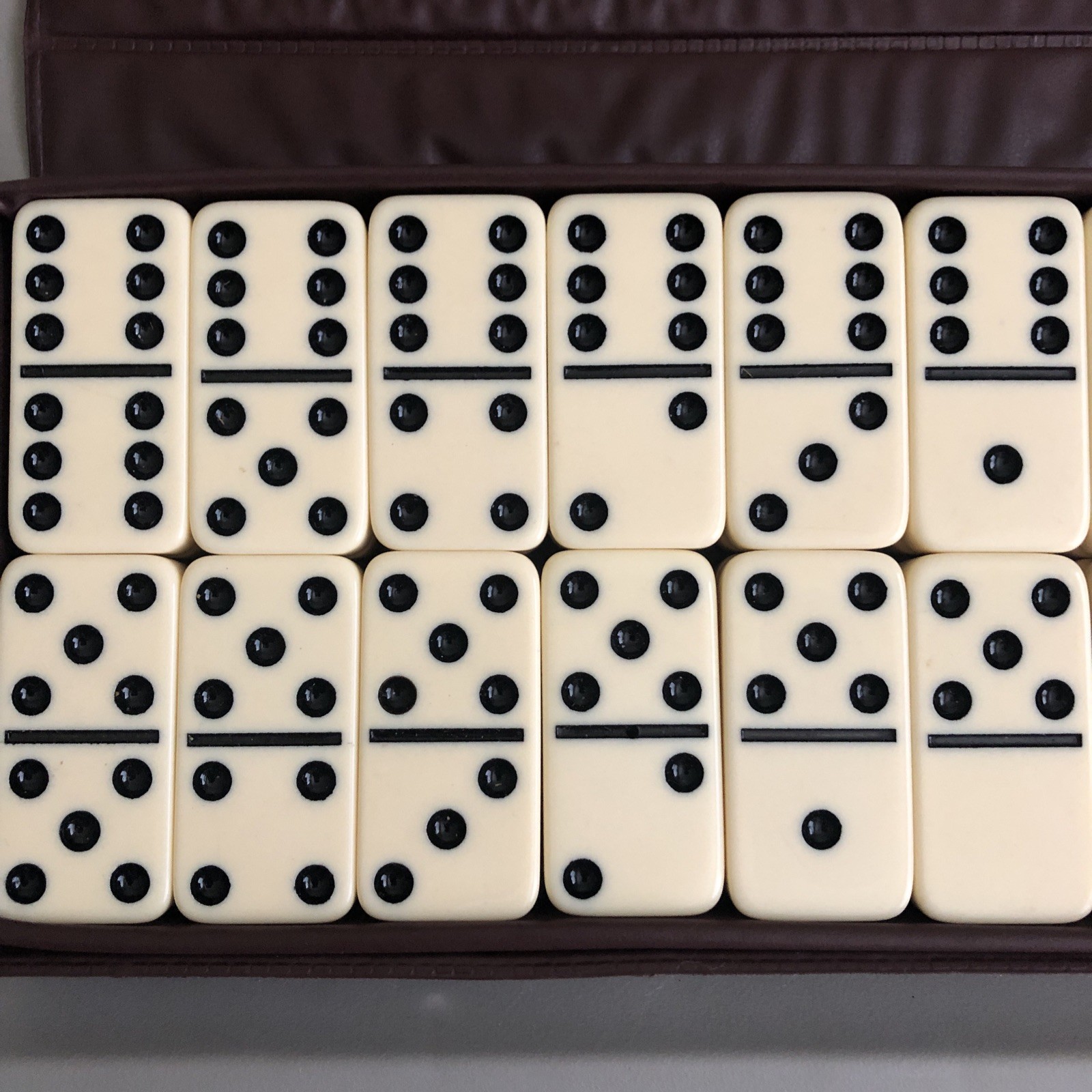 Set of Double Six Professional White Ivory Marbleized Dominoes in Case Vintage