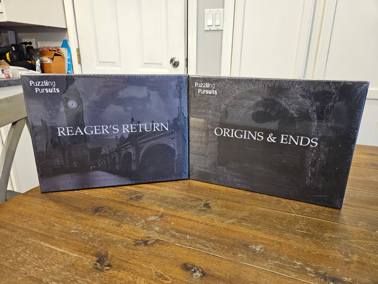 Puzzling Pursuits Origins & Ends Reager’s Return Mystery Gane BRAND NEW