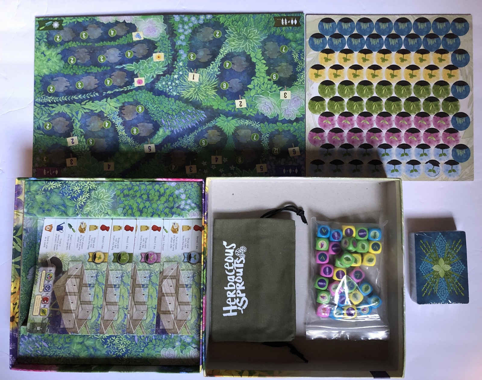 Herbaceous Sprouts: A Flavorful Dice Game (2018) Pencil First Unpunched Open Box
