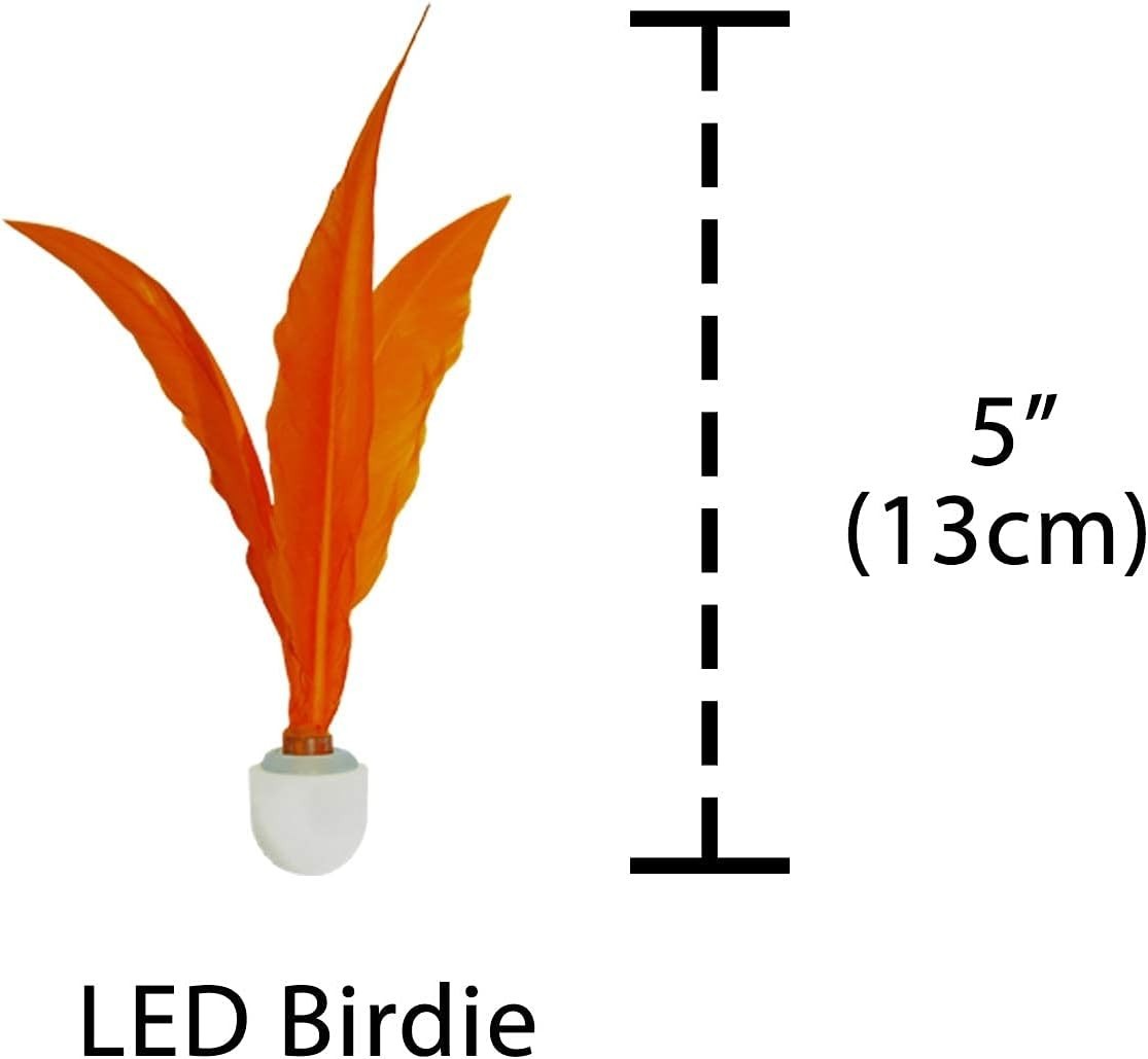 Jazzminton Paddle Ball Game LED Birdies, or Light Up Shuttlecock – New and Im…