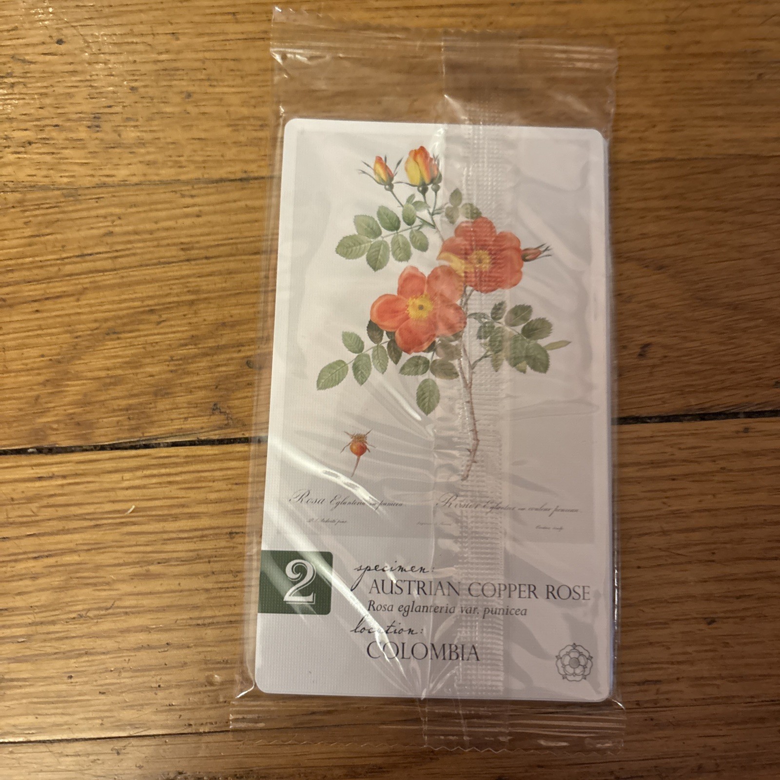Botany Victorian Expedition Board Game Dux Somnium 2024 NIB + Regal Roses