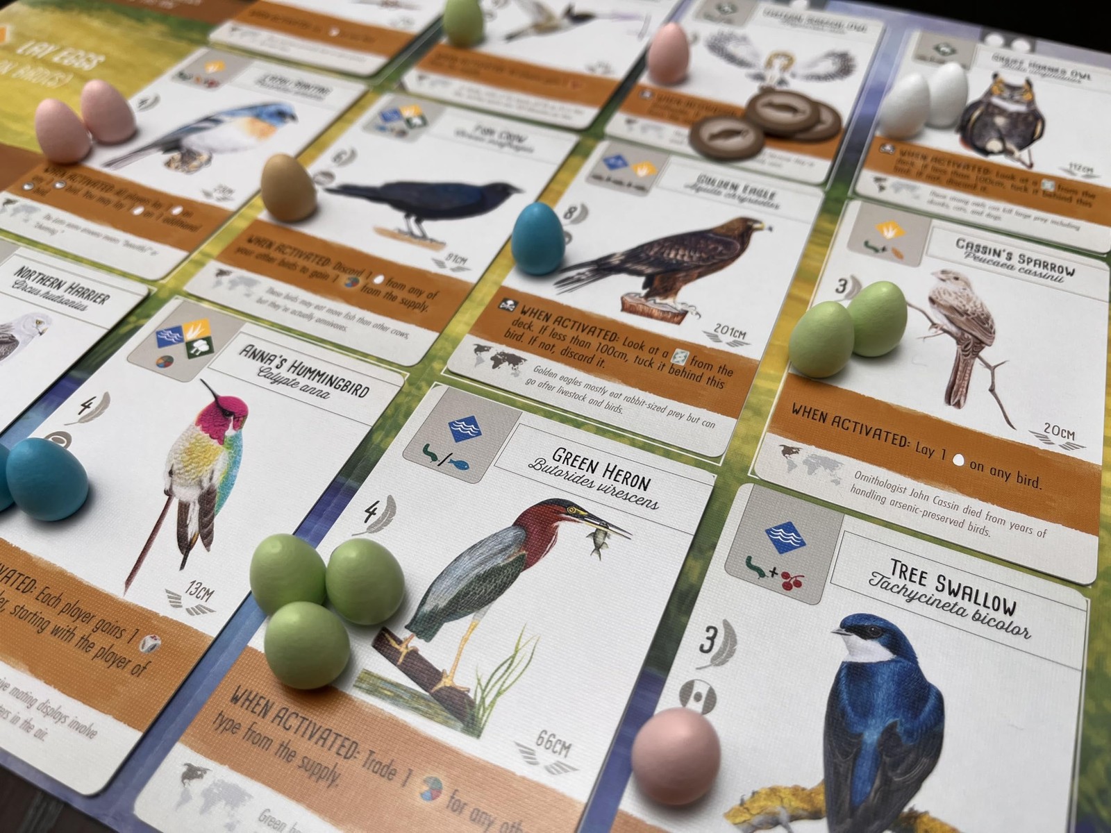 : Wingspan (Base Game) by Elizabeth Hargrave | A Relaxing, Award-Winning Stra…