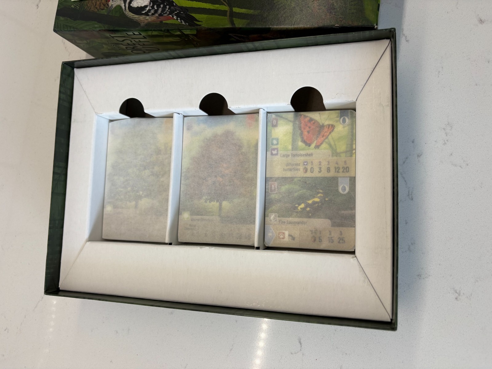 2024 Kosch Forest Shuffle Card Game Lookout Games Open Box but Never Used Age10+