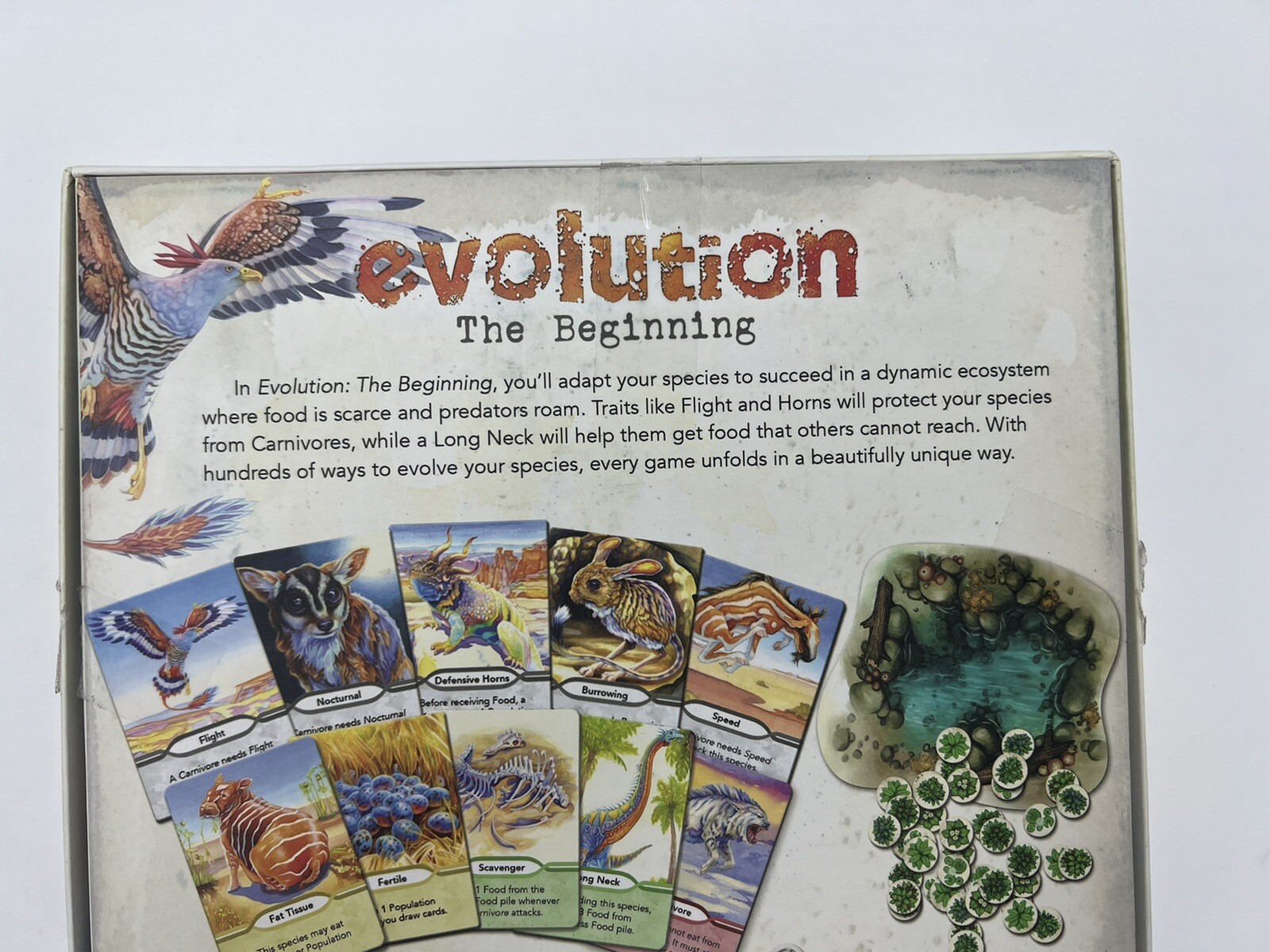 Evolution: the Beginning Board Game North Star 8-11 Years Boys Girls Complete