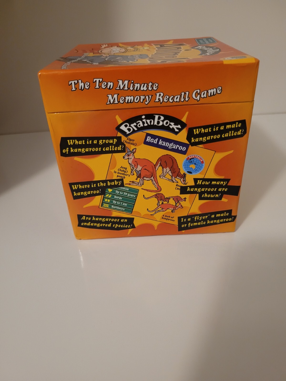 The Ten Minute Memory Recall Game, Brainbox Animals