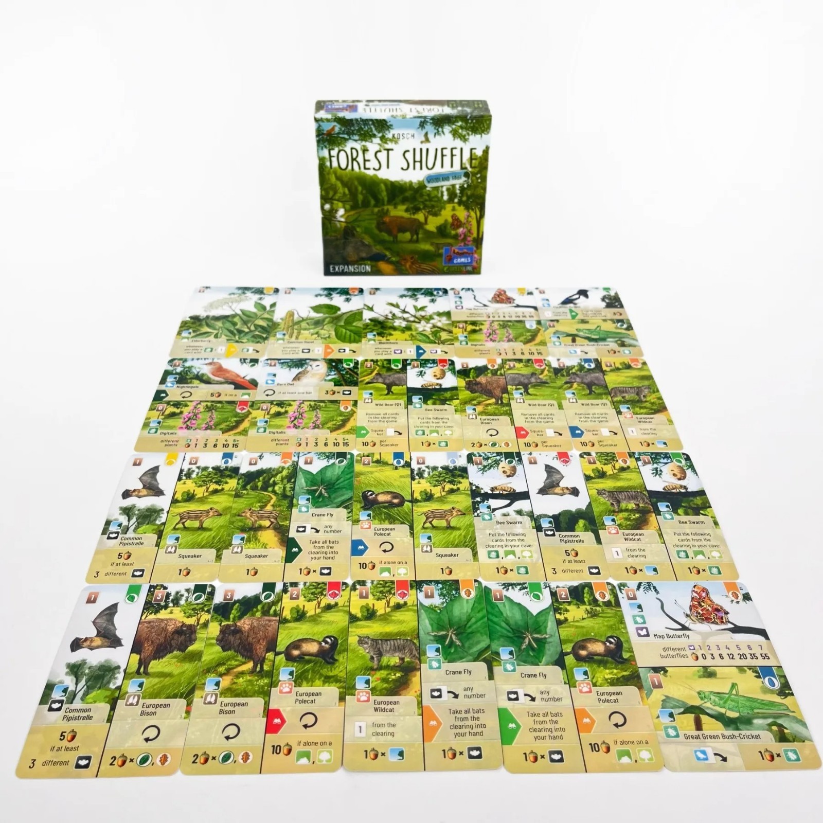 Forest Shuffle Card Game Strategy Family Game for Kids Adults 2-5 Players