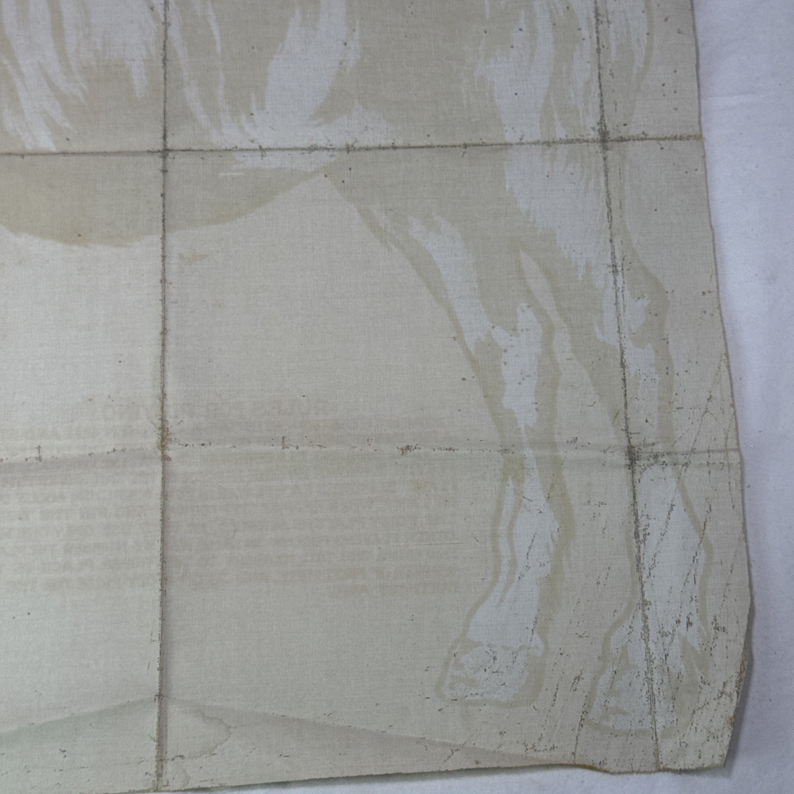 Antique Pin The Tail On The Donkey Party Muslin Game Saalfield Publishing Co.