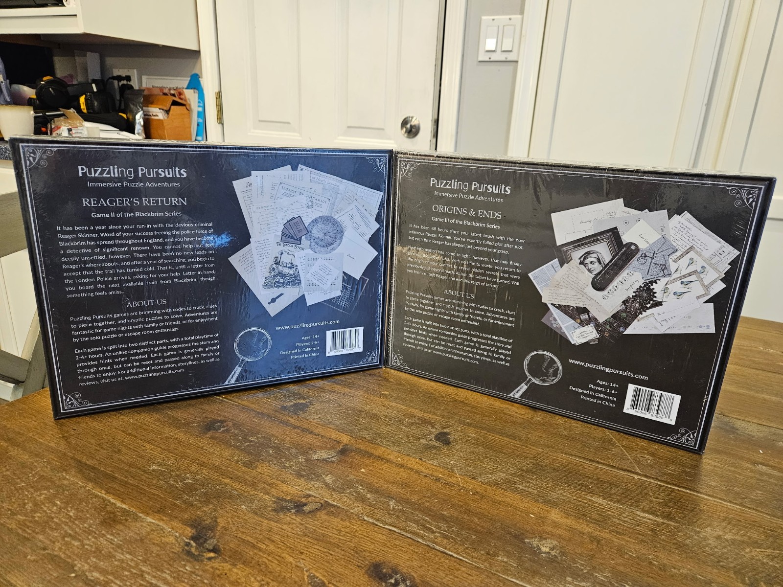 Puzzling Pursuits Origins & Ends Reager’s Return Mystery Gane BRAND NEW