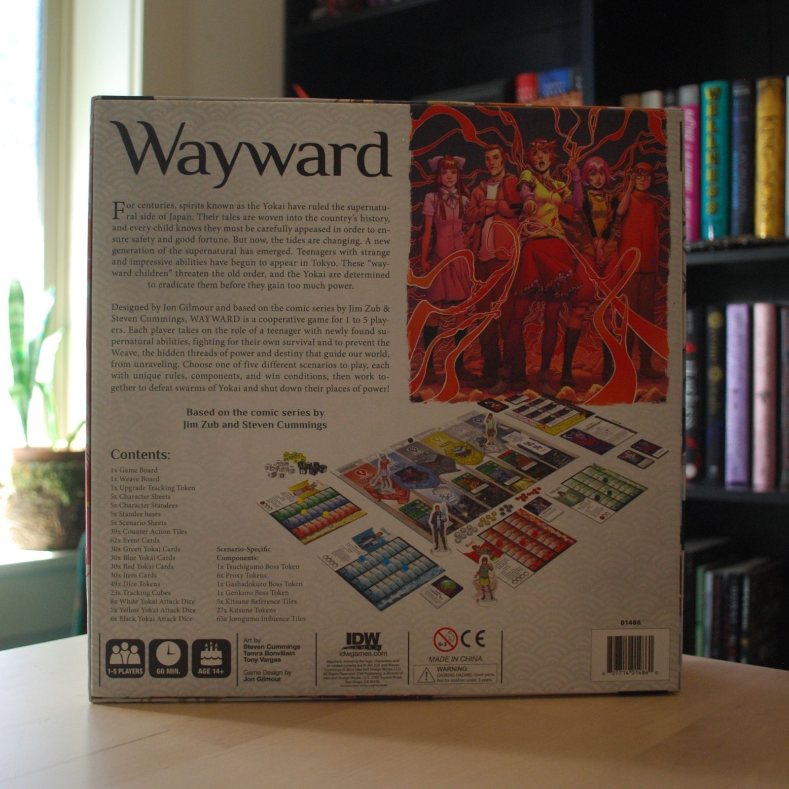 Wayward Board Game | IDW Games | Cooperative Strategy Game Complete
